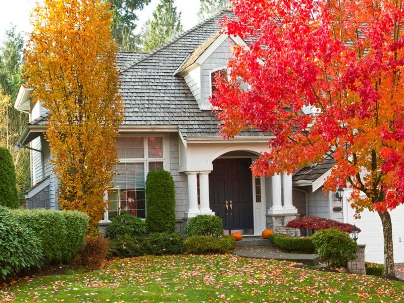 Fall Cleaning Checklist_ Essential Services for Homes in Northeast Philadelphia